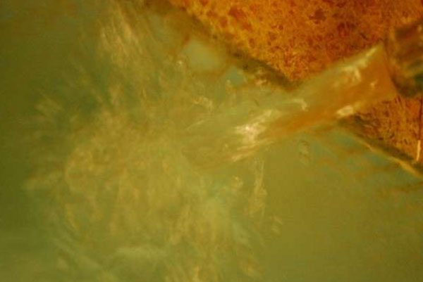 源泉100%掛け流し（内湯のみ）